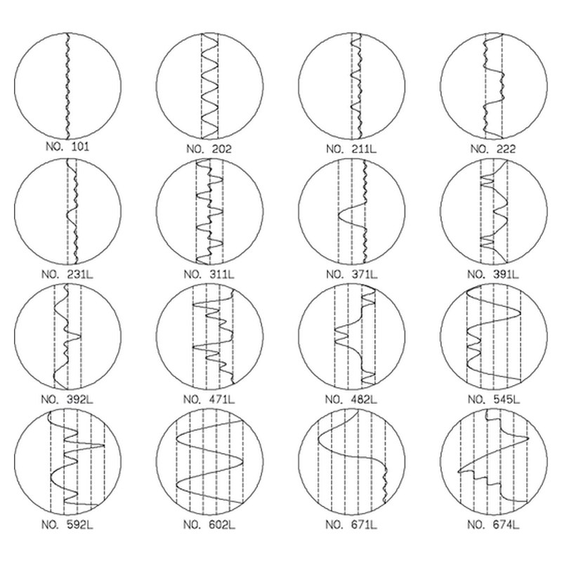Siruba VC008/VSSM: multiaguja decorativa de 12 agujas y 24 hilos